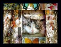 Fine Artwork On Sale Fine Artwork On Sale Gatos Grises (SN) (Medium)